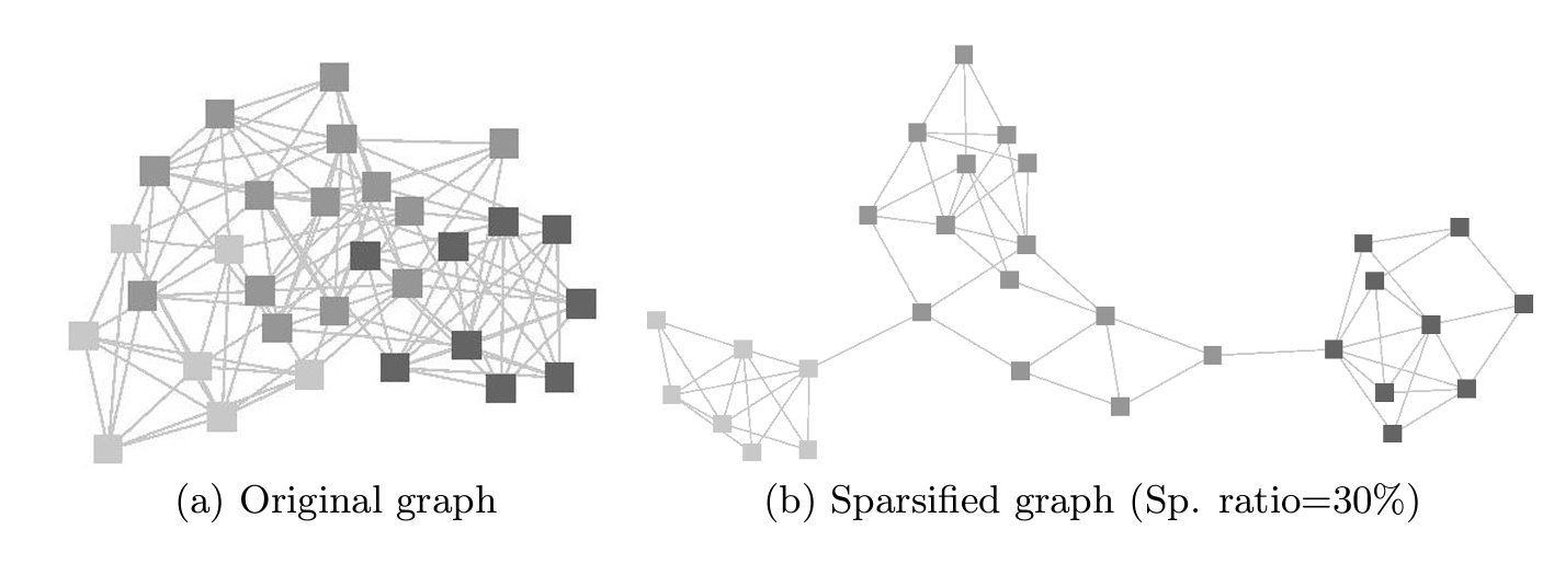 network sparsification